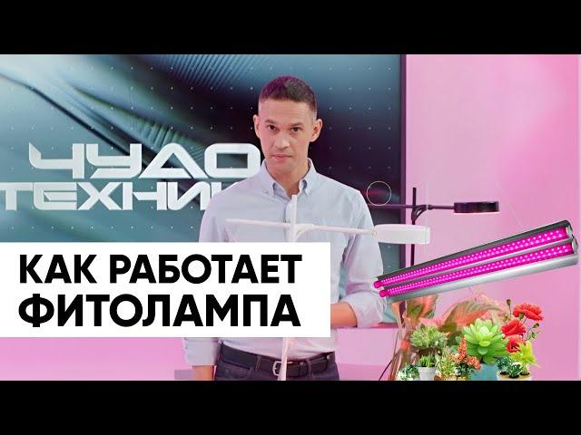 Как работают ФИТОЛАМПЫ?