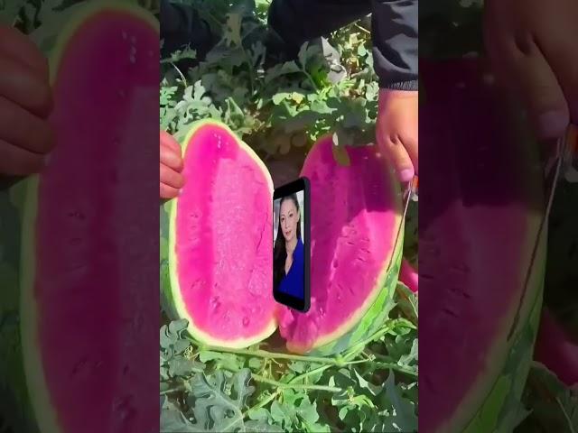 water melon #shortvideo #fypシ #asmr