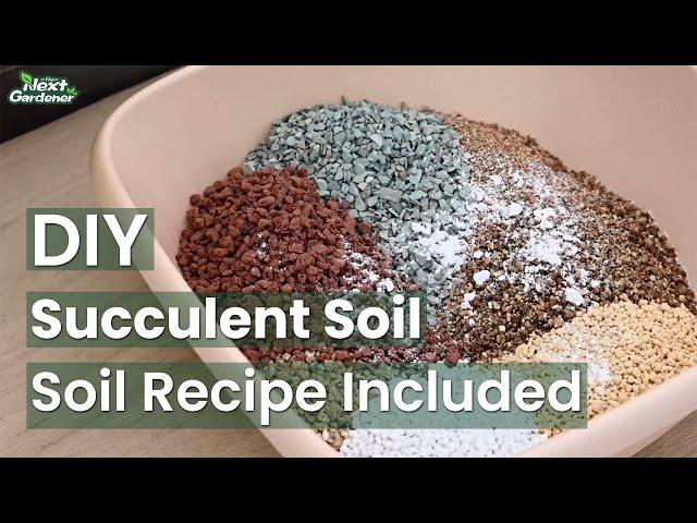 How To Make Succulent Soil (With Recipe) | The Next Gardener