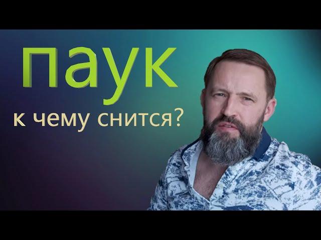 ПАУК. К чему снится паук