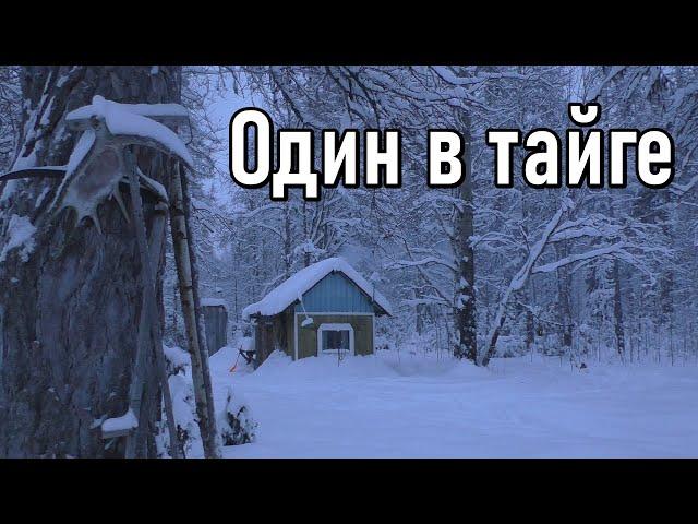 Второй заезд на участок,один в тайге,изба,отрыв от цивилизации.