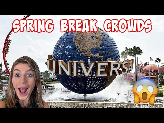 How to Survive Spring Break at Universal Orlando