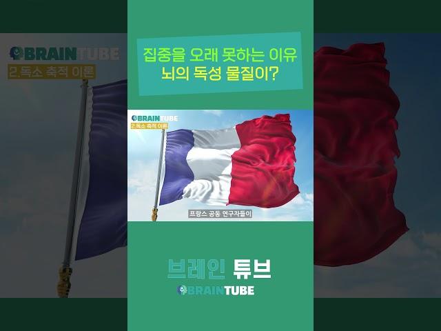집중을 오래 못하는 이유 / 뇌의 독성 물질이!?