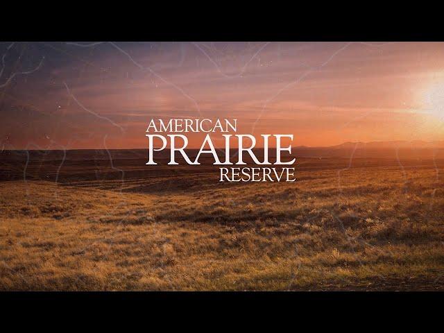 This is American Prairie.