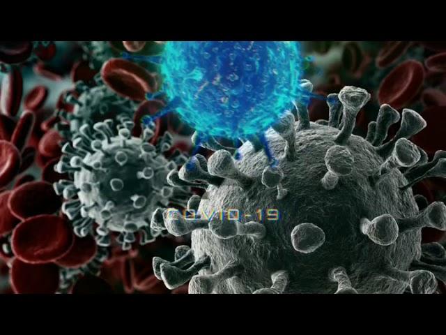 Coronavirus - Dubstep remix