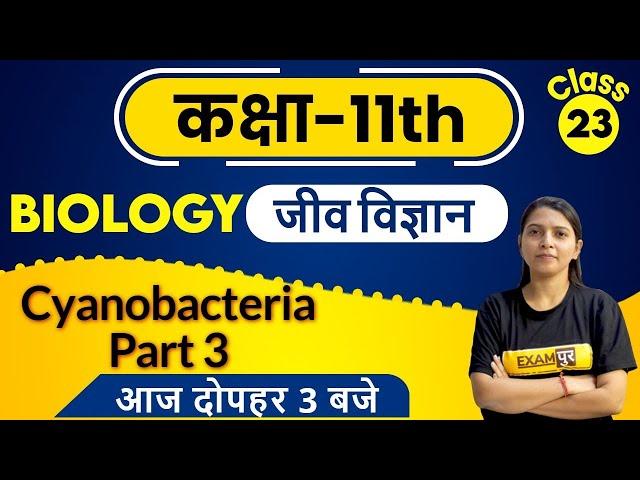 Class 11th | Class 11th Biology | By Radhika Ma'am | Class - 23 |  Cyanobacteria Part 3