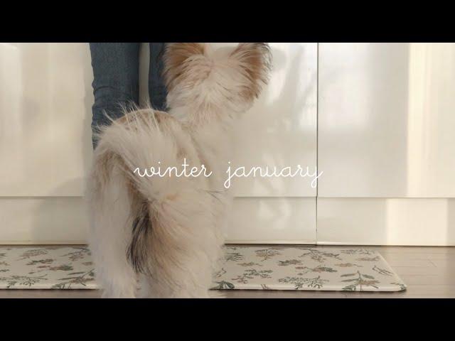 Sub) October's Daily Vlog with my lovely dog