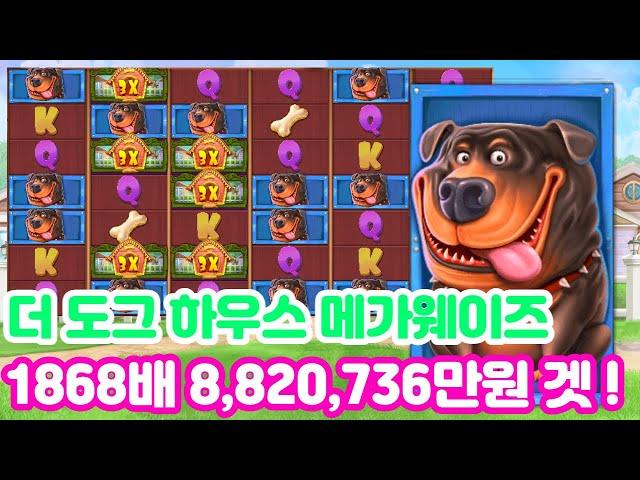 [슬롯] [슬롯실시간] [슬롯잭팟] 더 도그하우스 메가웨이즈 1868배 882만원 냠냠 #슬롯라이브 #슬롯머신 #슬롯실시간