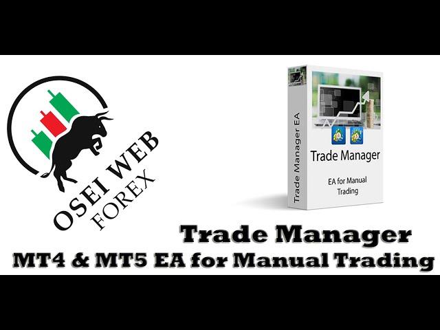 Trade Manager MT4 and MT5 (EA for manual trading)