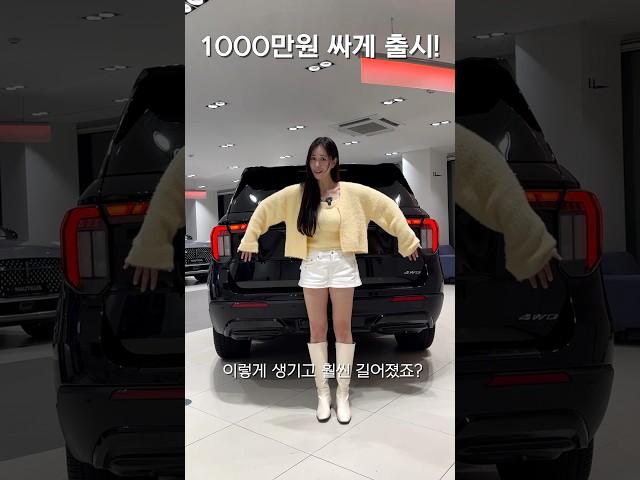 천만원이나 싸게 출시한 수입차! 팰리세이드 어쩌나..