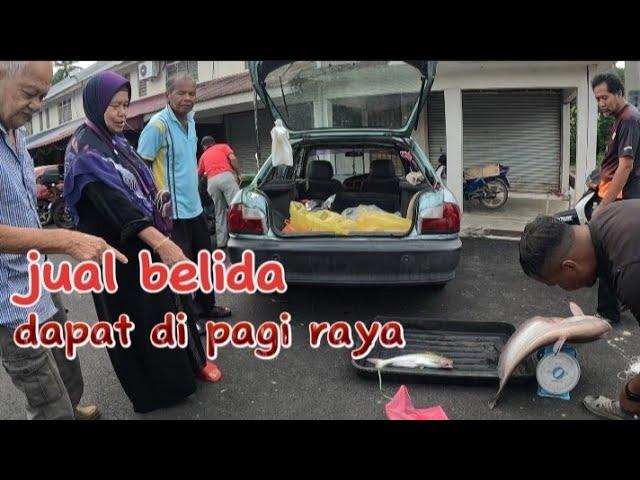 ikan belida dapat pagi raya pagi ini baru berjual