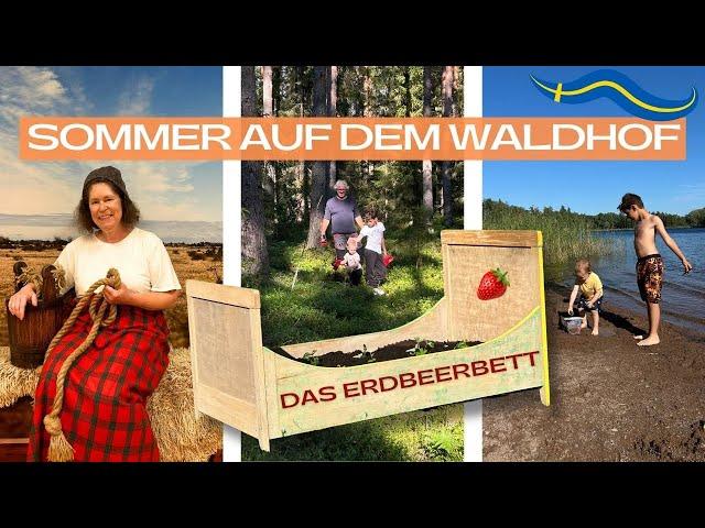 Sommer auf dem schwedischen Waldhof - Das Erbeerbett und mehr ...