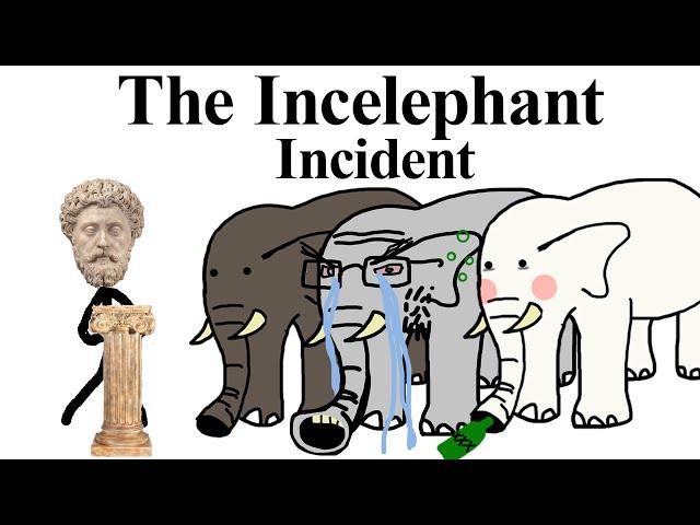 The Incelephant Incident