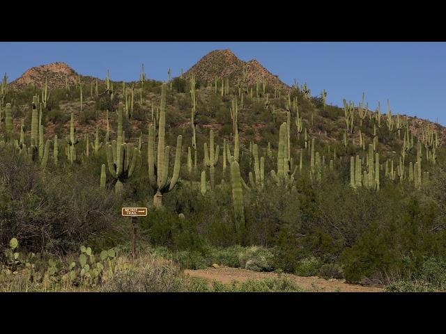 Spur Cross "The Metate Trail"