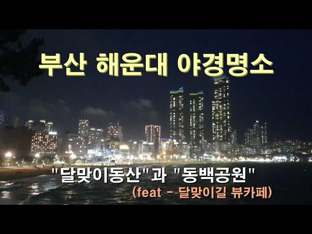 부산해운대 야경명소 - 달맞이동산과 동백공원(feat-달맞이길 "오션뷰 카페")