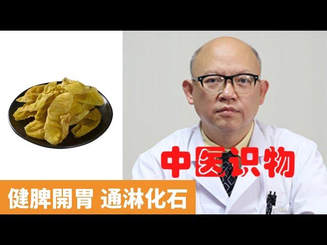 雞內金的功效與作用【保健養生】生生不息┃健脾開胃┃消食化積┃澀精止遺┃通淋化石