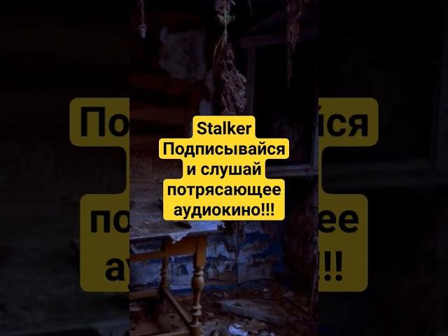 аудиокнига сталкер, подпишись и слушай. #сталкер #stalker #аудиокнига #книга #потерянный #сектор