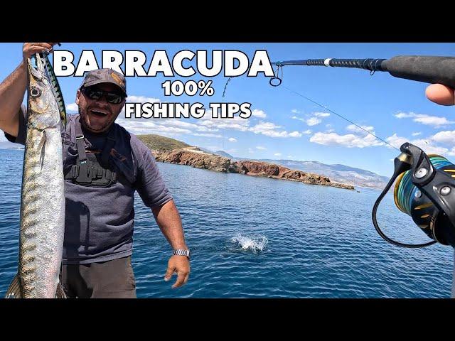 Saltwater Safari 11: Barracuda Fishing Strategies: Everything You Need to Know to Catch More!