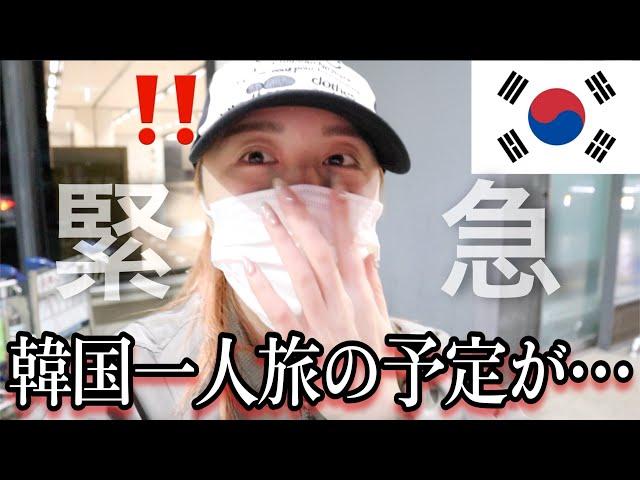 【韓国旅行】緊急で動画まわしてます。