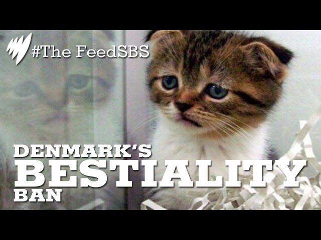 Denmark's Bestiality Ban I The Feed