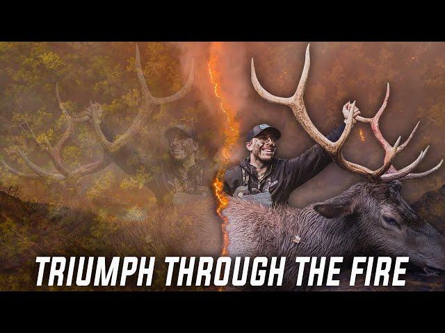 Triumph Through the Fire - An Idaho Elk Bowhunting Film