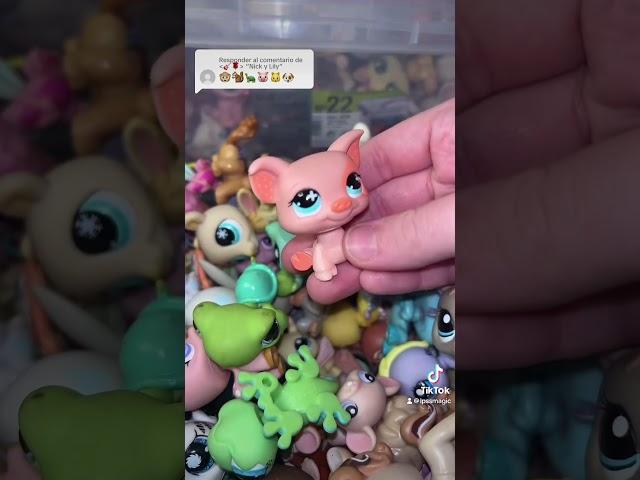 #littlestpetshop #lps #asmr #littlestpetshops #collectible