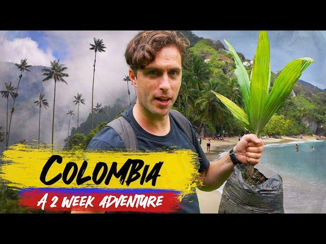 COLOMBIA  2 Week Adventure | Ep2: Salento, Cocora, Tayrona, Cartagena