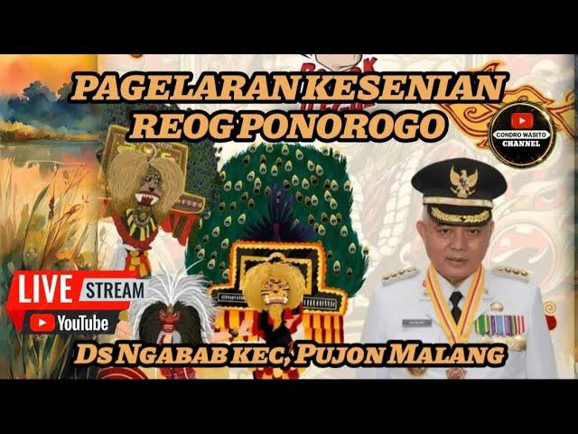 Live Pagelaran kesenian REOG SINGO GEMILANG 21 September 2024