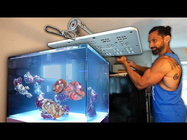 Das NEUE AQUARIUM von Tolga + Umzug von teuren Korallen