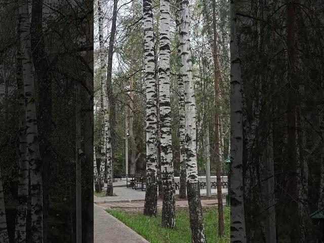 Внеплановый Новый год ((