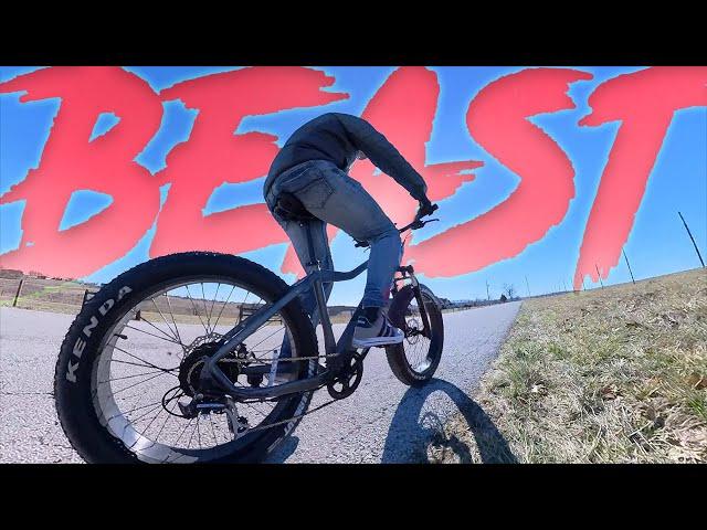 A Fat EBike That Has CRAZY POWER: Beast Mode Vanpowers Manidea