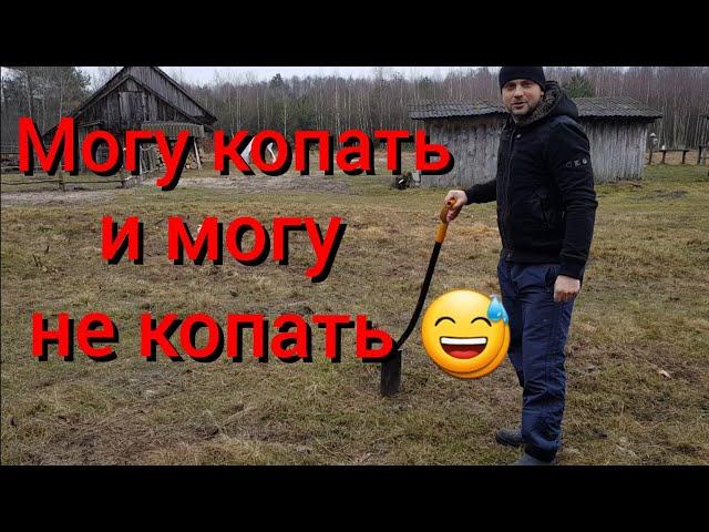 Приехал на хутор чтобы работать , но больше хочется отдыхать .Копание траншеи .Овцы в лесу