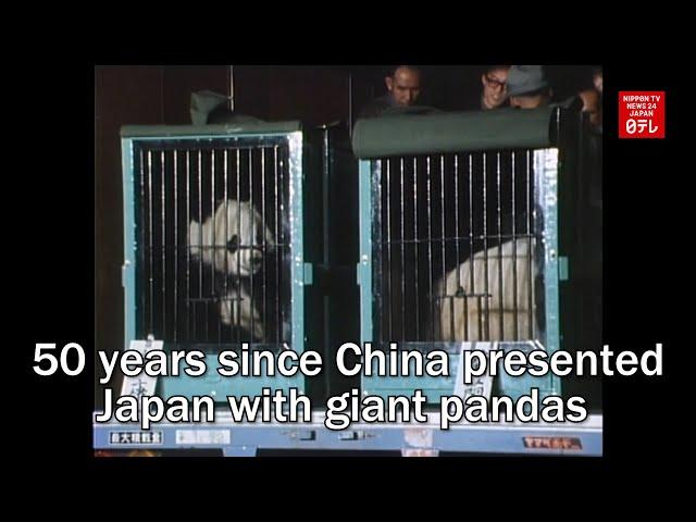 50 years since China presented Japan with giant pandas