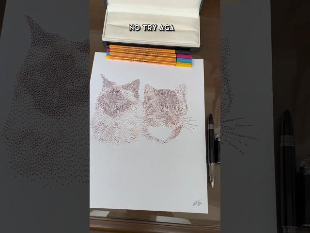 Cat Drawing! #catdrawingeasy #catdrawing #catdraw #catdrawings #catdrawingforkids #catartist #catart