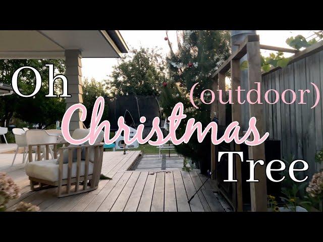 Picking our outdoor Christmas tree & decorating it!