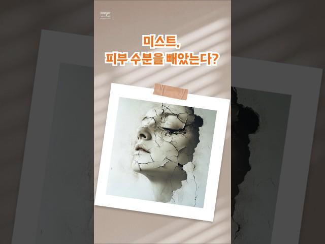 수분 손실 없이 미스트 사용하는 방법 #미스트 #보습 #미스트사용방법 #수분증발 #수분손실 #피부보습 #미스트사용법 #보습템 #피부건조