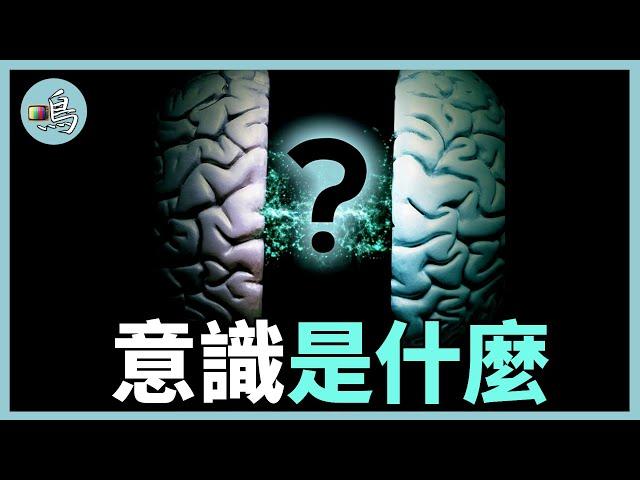 意識怎樣產生，它被困在大腦裡嗎？最新科學研究顛覆認知 l What is consciousness？