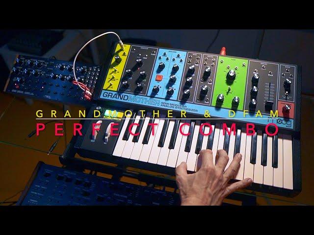 Moog Grandmother & DFAM : A Perfect Combination