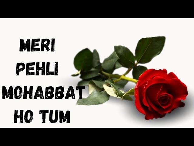 Kumar Sanu Album song,MERI PEHLI MOHABBAT Ho Tum, LOVE  Song, #shekharvideoeditor