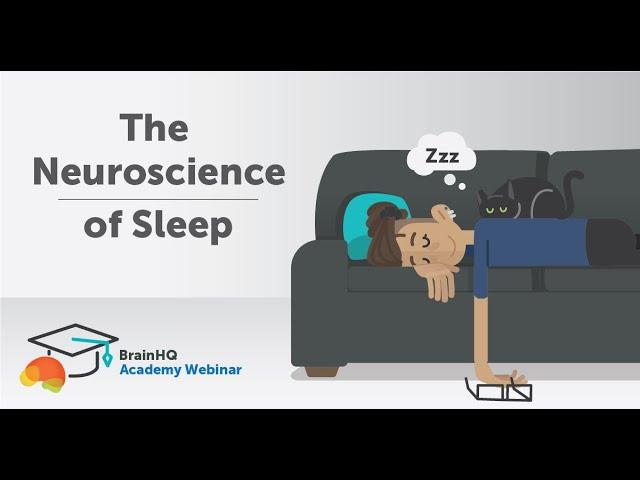 BrainHQ Academy: The Neuroscience of Sleep