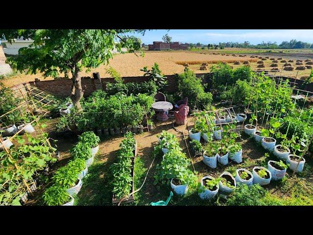 Beautiful Colorful and Bountiful Container Vegetable Garden Tour!