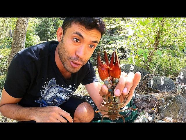 MASSIVE CLAWS Most Delicious and Easy Crawfish Chowder You've Never Had