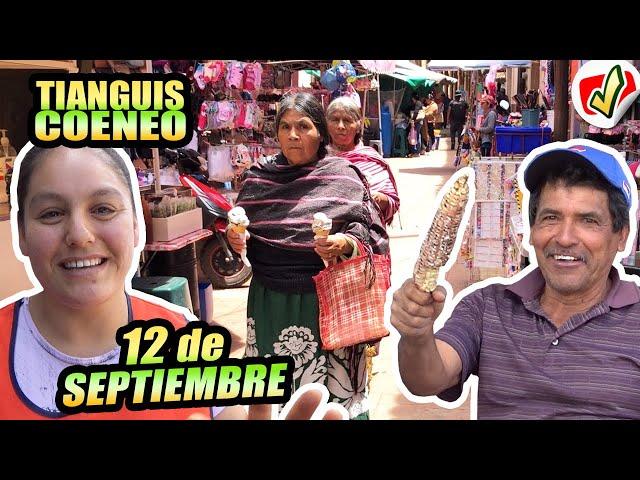 Así estuvo el TIANGUIS del 12 de SEPTIEMBRE  - REVISTA COENEO