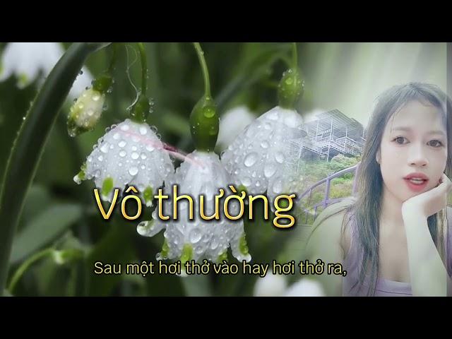 Vô Thường/ Nguyễn Linh ĐL, Chia sẻ, Thấu Hiểu, Cuộc Sống, Thấu Hiểu Để Yêu Thương, Chữa Lành