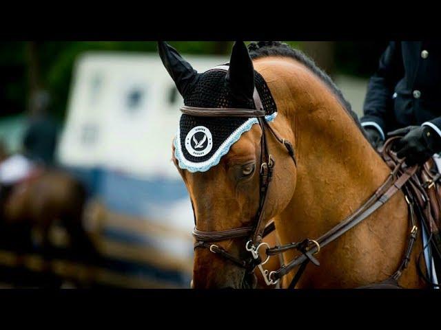 7 Years || Equestrian Music Video