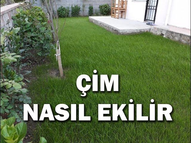 En kolay çim ekimi nasıl yapılır, çim nasıl ekilir ?