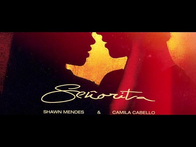 Shawn Mendes, Camila Cabello - Señorita (METAL COVER)