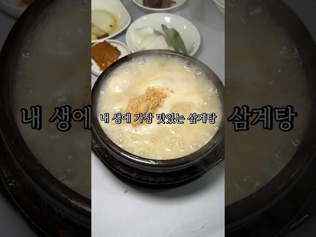 내 생에 가장 맛있는 삼계탕 목포 후백제삼계탕 #목포맛집 #목포현지인맛집 #목포여행