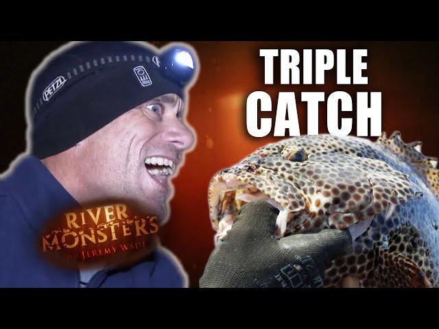 Triple Catch Special | Grouper, Tigerfish & Black Jack | River Monsters