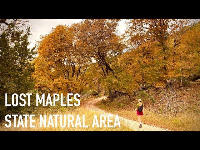 After the Fall Colors in Texas: Hiking in Lost Maples